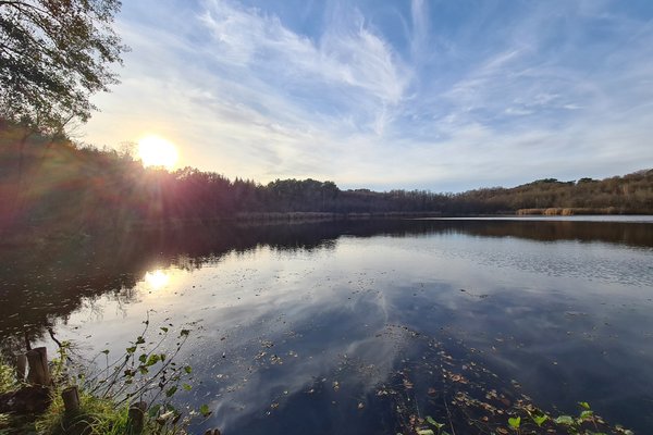 Blick auf einen See im Schlaubetal