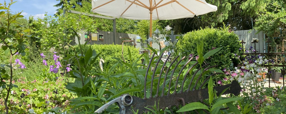 Sommerlicher Garten